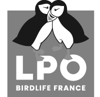 LPO
